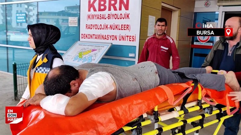 Bursa'da köpeğin saldırısına uğrayan inşaat işçisi yaralandı