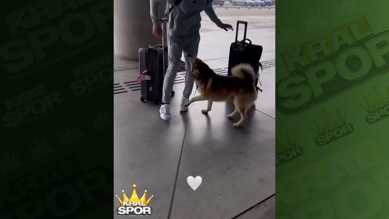 Dominik Livakovic, köpeği Cruz'a kavuştu