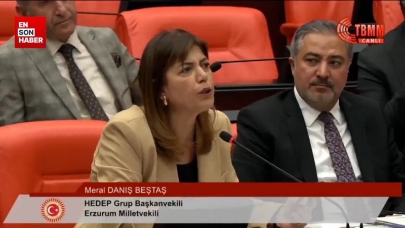 HEDEP'li Meral Danış Beştaş: Terörist senin babandır