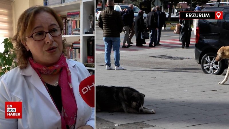Profesör köpek saldırısından korunmak için yapılan yanlışı anlattı