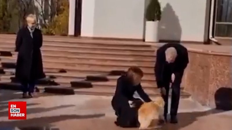 Moldova Cumhurbaşkanı Sandu’nun köpeği, Avusturya Cumhurbaşkanı Bellen'i ısırdı