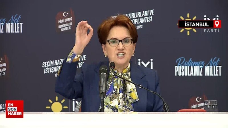 Meral Akşener: İspat ederlerse politikayı bırakırım