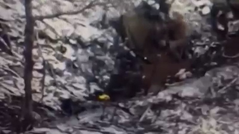 Patlamayan drone’u kürekle imha etmeye çalışan Rus askeri