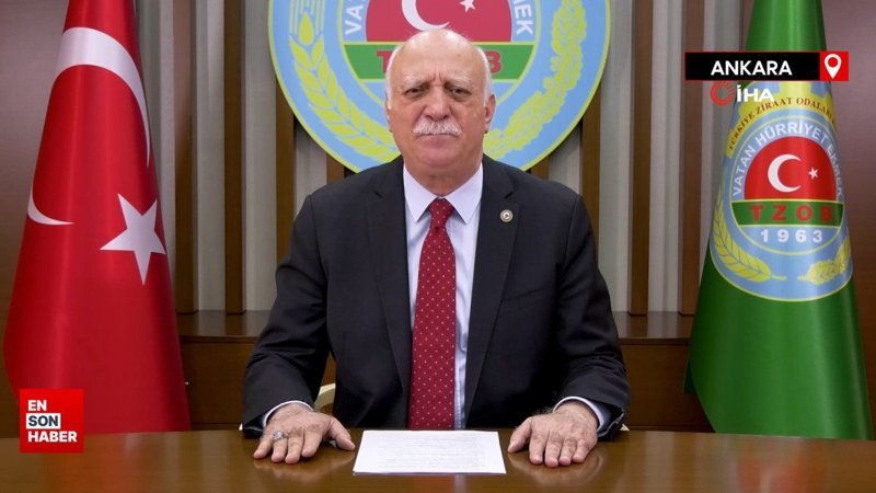 Zeytinyağında taklitçilik ve tağşiş alarmı: Fiyat artışı sorunu büyütüyor