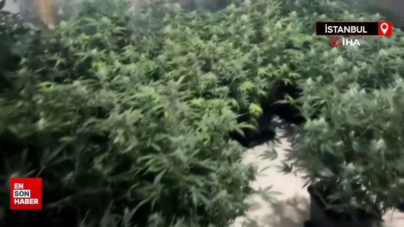 İstanbul'da uyuşturucu serasına çevrilen villaya baskın