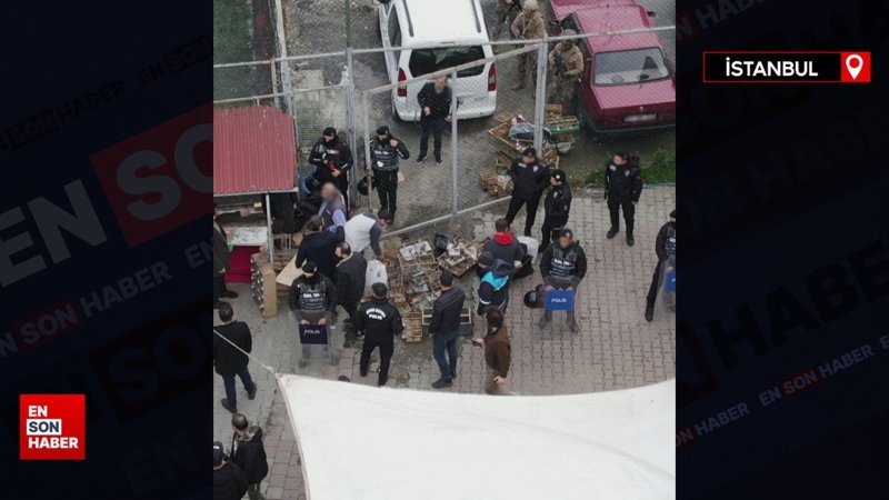 İstanbul’da kaçak kuş pazarına baskın: 24 gözaltı