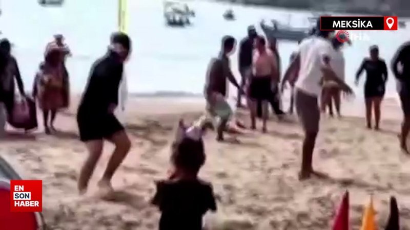 Meksika’da bir kadın köpek balığı saldırısında öldü