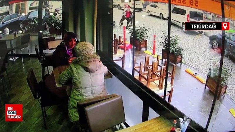 Tekirdağ’da pitbull dehşeti kamerada