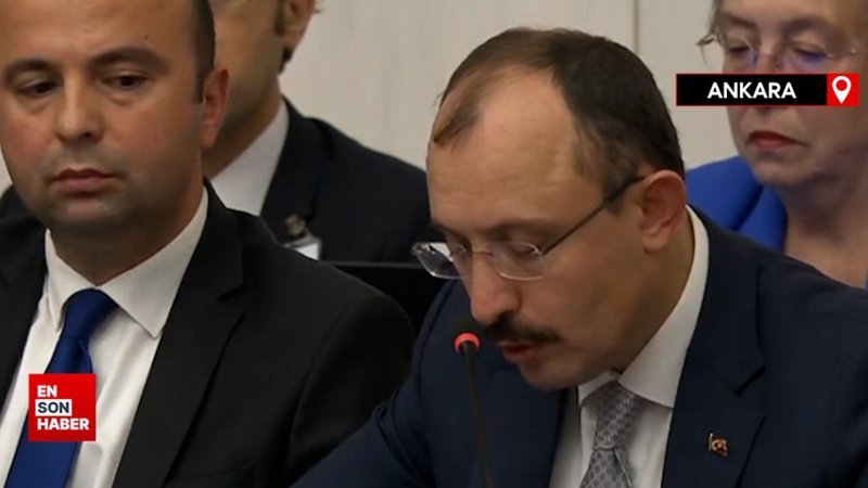 Mehmet Muş çalışan emeklilere verilecek ikramiyenin maliyetini açıklandı