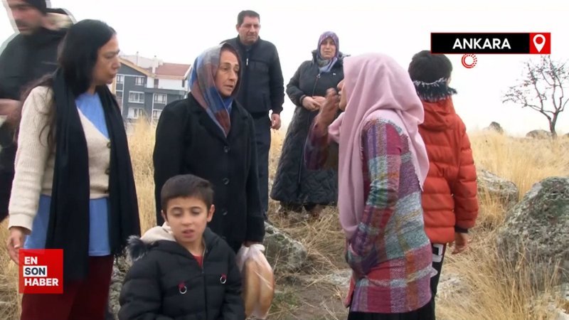 Ankara'da sokak köpekleri küçük çocuğa saldırdı: Durumu ağır