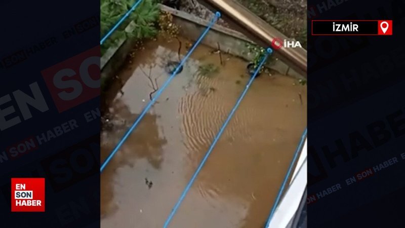 Yalova'da taşan dere, evleri bastı