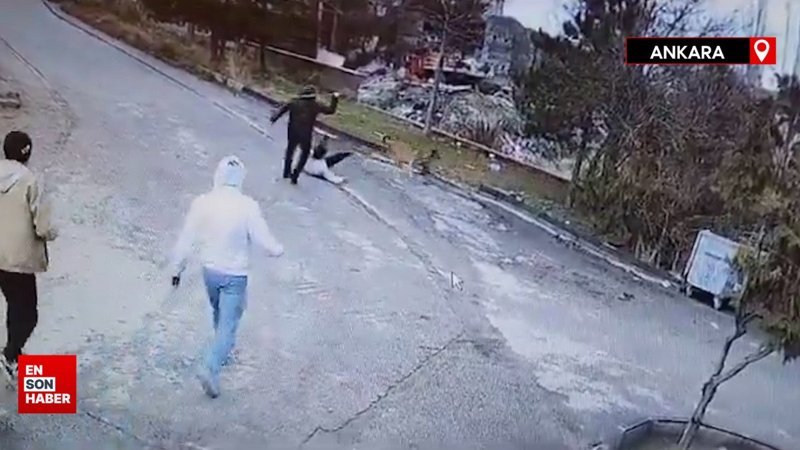 Ankara'da yine başıboş köpek saldırısı: Yaralanan çocuk hastaneye kaldırıldı
