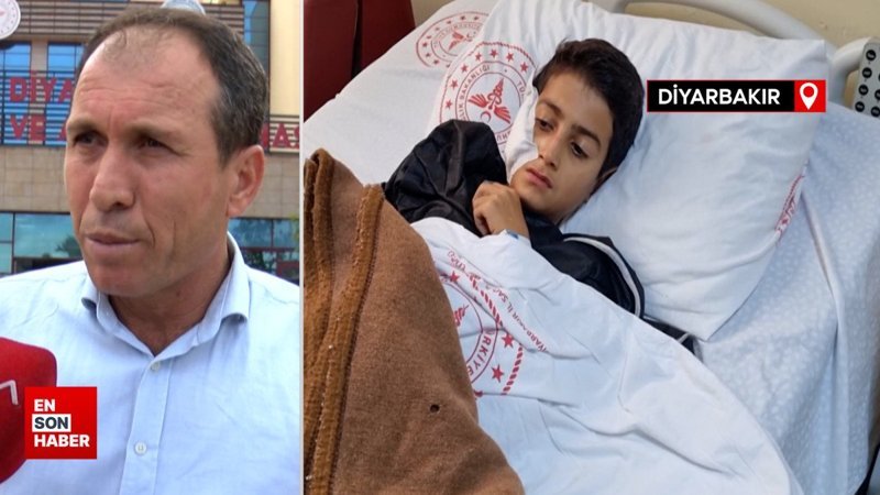 Diyarbakır'da sokak köpeğinin ısırdığı Veysel'i komşuları kurtardı