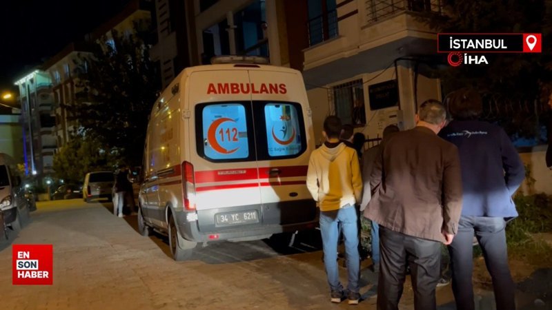 İstanbul'da çocuklara saldıran pitbull, apartmanı birbirine kattı