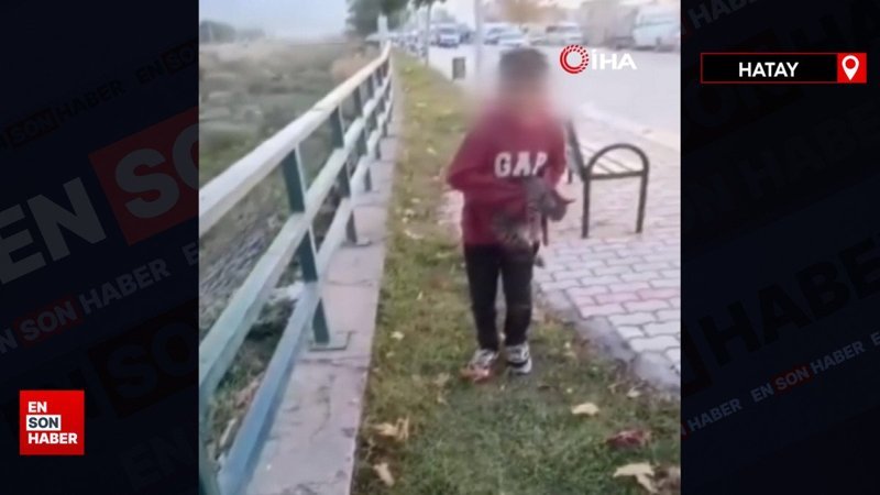 Hatay'da TikTok'ta izlenme uğruna kediye acımasızca eziyet ettiler