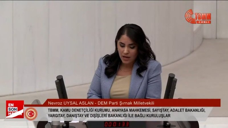 HDP'li vekilden TBMM'de Öcalan'a övgü