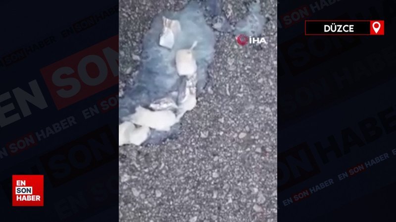 Düzce’de şampuan kutusunun içinden uyuşturucu çıktı