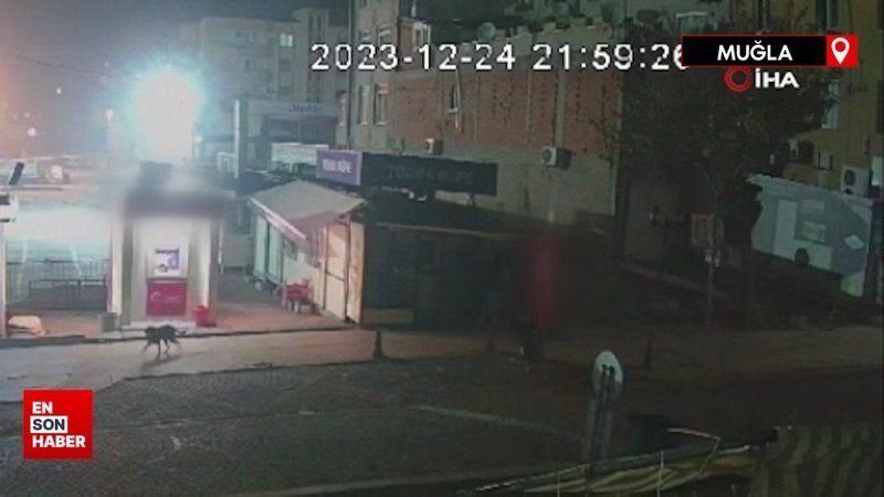 Muğla'daki meşrubat hırsızları kameradan kaçamadı