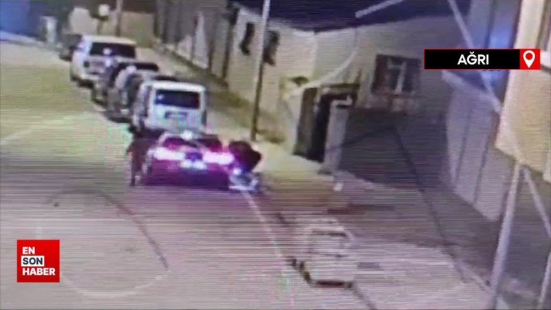 Gelin arabası gibi süslenen araçta 2 düzensiz göçmen yakalandı