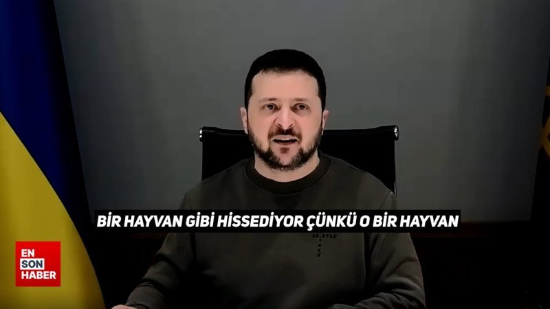 Zelensky: Putin bir hayvan
