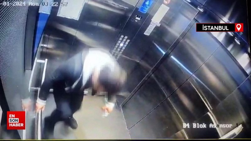 İstanbul’da kan donduran olay: Cani adam kediyi işkence ederek öldürdü