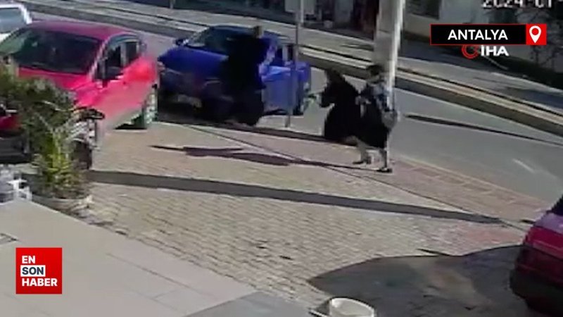 Antalya'da kontrolden çıkan otomobil durağa daldı