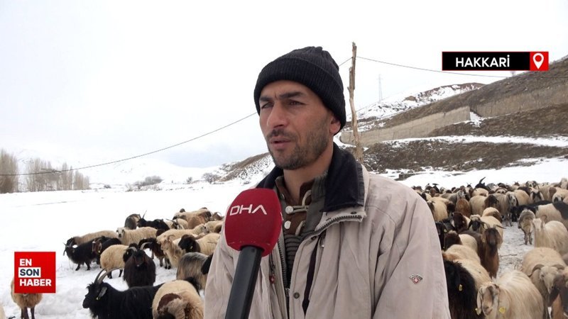 Hakkari'de yerli çoban bulamayan besici İran'dan çoban getirdi