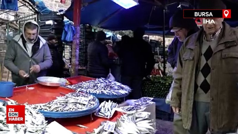 Bursa’da hava şartları balık fiyatlarını etkiledi