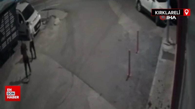 Kırklareli'nde köpeği bıçakla öldüren sanıktan ilginç savunma