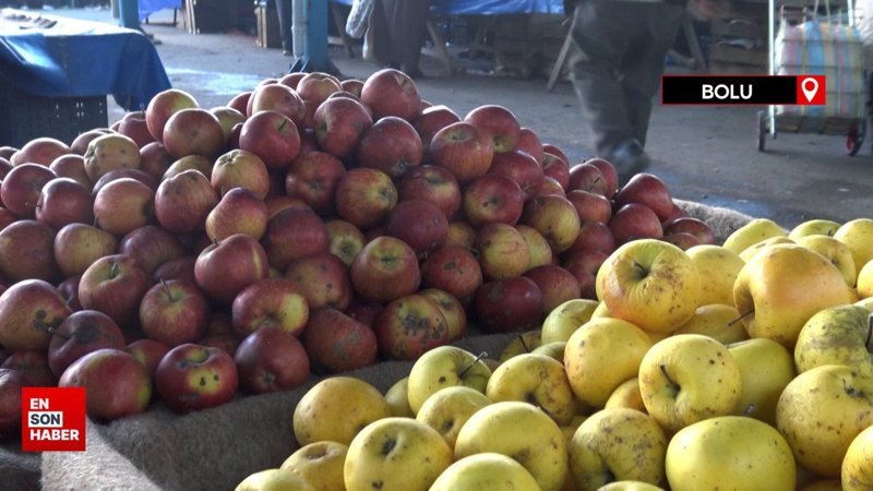 Ağaç sayısı azaldı: Bolu'da Seben elmasının üretimi yüzde 52 düştü