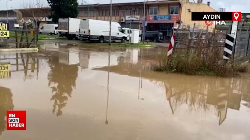 Aydın'da göle dönen yolda düşen plakasını aradı