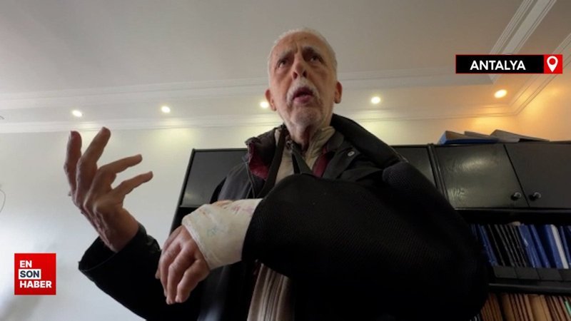 Antalya’da köpeklerin saldırısına uğrayan avukat belediyeyi dava etti