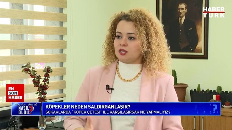 İBB Müdürü sokak köpeğinden korunma yöntemini söyledi! Köpeği anlamaya çalışmalıyız