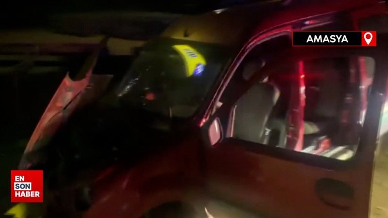 Amasya'da yola çıkan köpek kazaya neden oldu