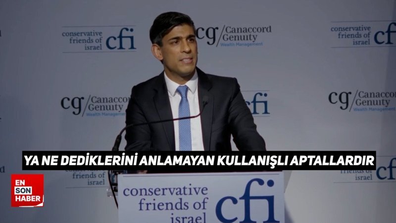 Rishi Sunak, Filistin destekçilerine 'aptal' dedi