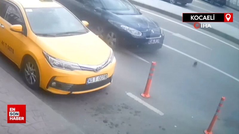 İzmit'te yürüyerek karşıya geçen güvercine otomobil çarptı