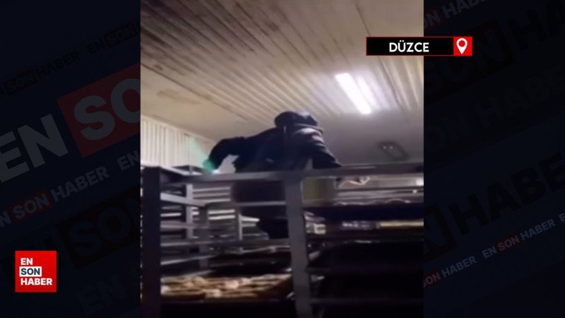Düzce'de kurabiye tepsilerinin olduğu raflara çizmeleriyle çıktı