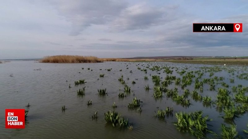 Bakan Yumaklı: 6 bin 418 sulak alan kayıt altına alındı