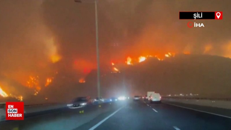 Şili’deki orman yangınlarında OHAL ilan edildi