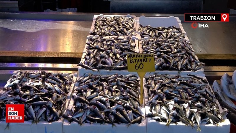 Karadeniz’de hamsi bolluğu son buldu