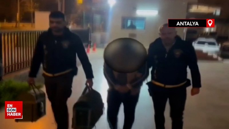 Antalya'da horoz dövüştüren 5 kişi yakalandı