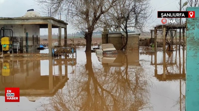Şanlıurfa'da kırsal mahalleler sel suları altında kaldı