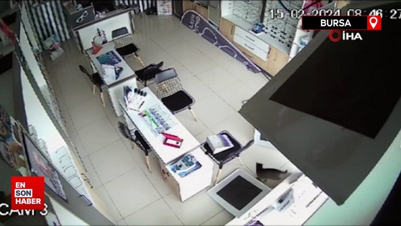 Bursa'da kırılan tavandan aşağı kedi düştü
