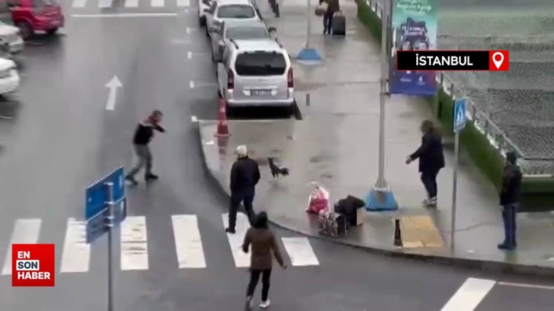 Otogarda sahibinin elinden kaçan horoz ortalığı birbirine kattı