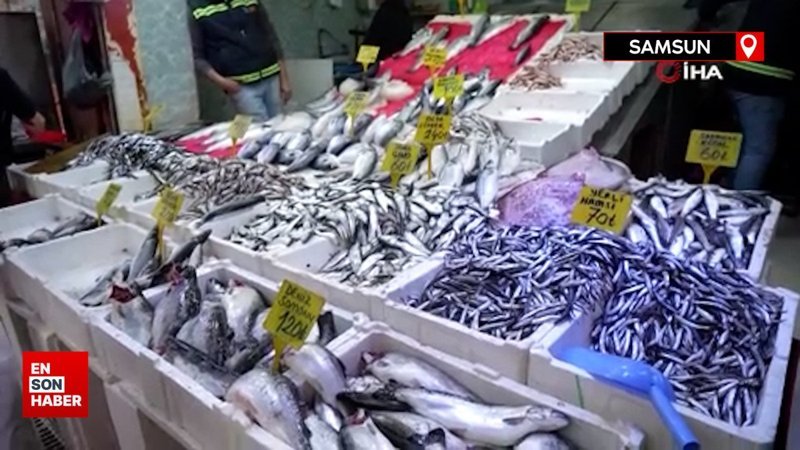 Tezgahların gözdesi somon ve istavrit