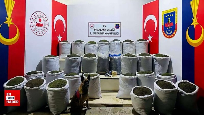 Zehir tacirlerine 14 ilde operasyon: 142 gözaltı