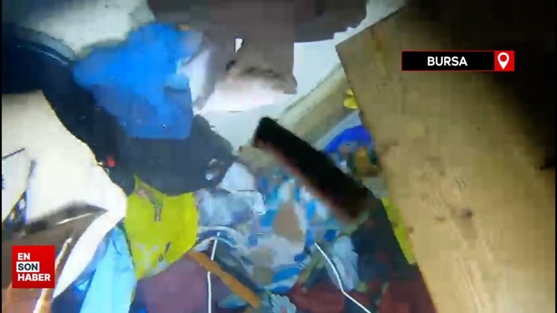 İmralı Adası açıklarında batan geminin içi böyle görüntülendi