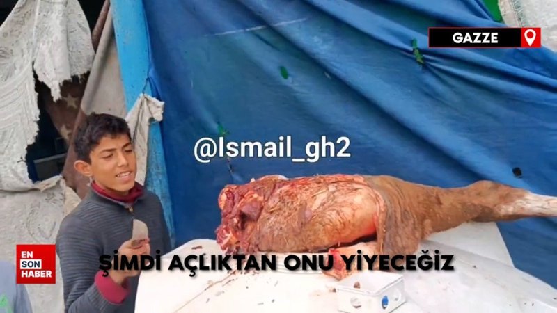 Gazze'de insanlar açlıktan ötürü at eti yemeye başladı