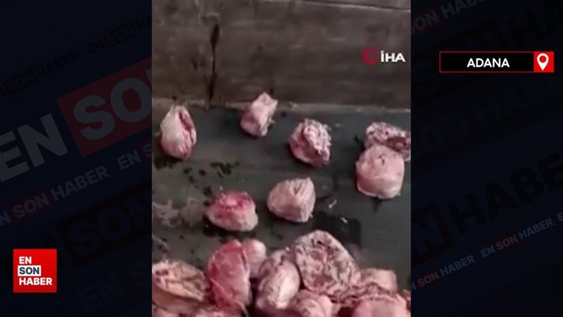 Adana’da kilolarca sakatat ve et imha edildi