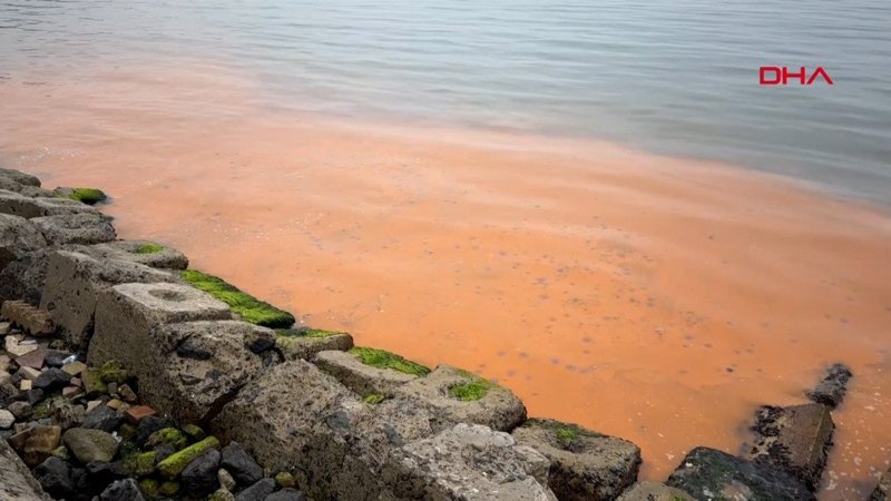 Tekirdağ sahilinde denizin rengi turuncu oldu